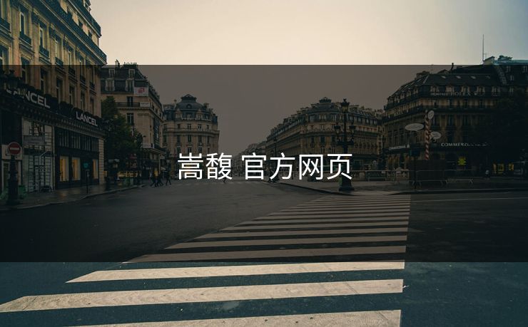 嵩馥 官方网页