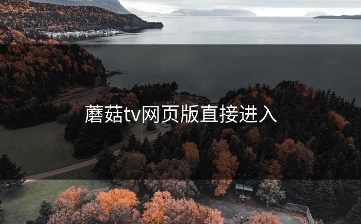 蘑菇tv网页版直接进入