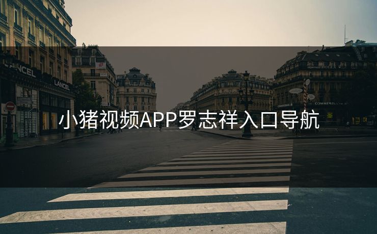 小猪视频APP罗志祥入口导航