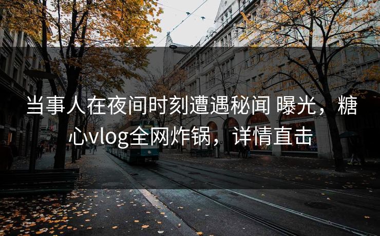 当事人在夜间时刻遭遇秘闻 曝光，糖心vlog全网炸锅，详情直击